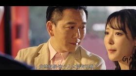 风雨澳门全集在线观看,全景再现澳门百年风云变幻 第2张 风雨澳门全集在线观看,全景再现澳门百年风云变幻 第2张